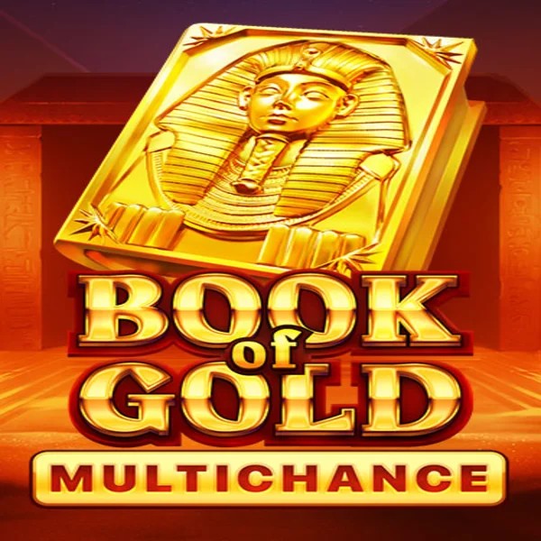 Book of Gold Multichance online game logo by Playson on honeybetzcasino.ch